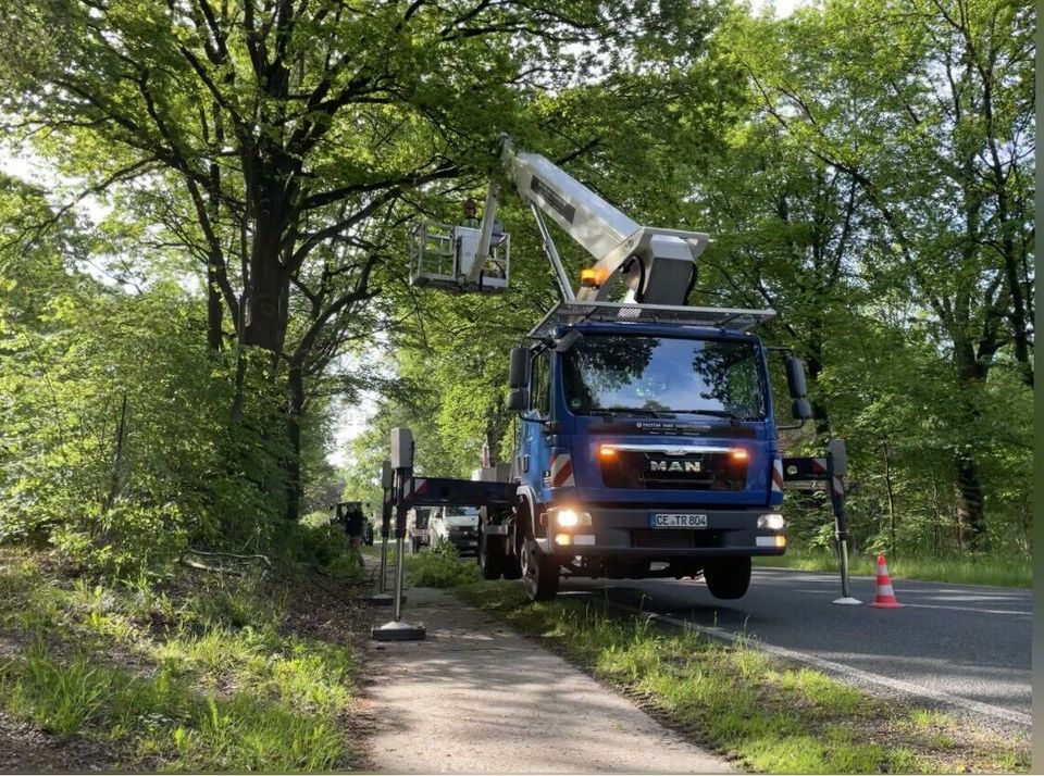 Baumpflege Baumfällung mit Hubarbeitsbühne/ Hebebühne 30 Meter in Hermannsburg