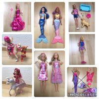 Barbies Meerjungfrau Schnorchel Dreamtopia neuwertig Mia & Me Niedersachsen - Schüttorf Vorschau