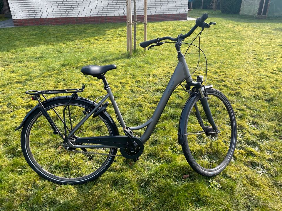 Fahrrad RALEIHG 28“ 50cm in Hude (Oldenburg)