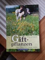 Pferde Sach- und Fachbücher Sommersdorf (Börde) - Marienborn Vorschau