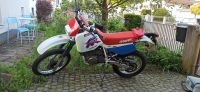 Honda XR 600 R. HU bis 09/25. Nur Kickstarter Hessen - Offenbach Vorschau