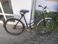 Fahrrad - Damen Bayern - Regensburg Vorschau