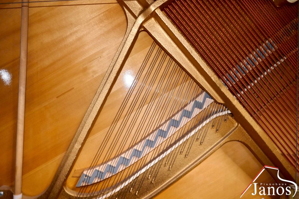 Braunschweiger Schimmel  Klavier ✱ 112 cm ✱ Design Exclusive in Berlin