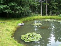 Suche Teich zum pachten Niedersachsen - Berge Vorschau