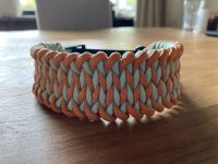 Paracord Halsband Bayern - Neustadt b.Coburg Vorschau