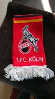 Fanschal 1. FC Köln - Die Macht am Rhein Hessen - Gelnhausen Vorschau