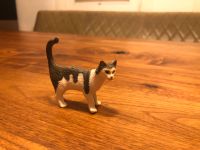 Schleichkatze Hessen - Wehrheim Vorschau