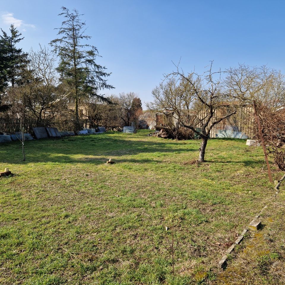 Großes Gartengrundstück in Torgau in Torgau