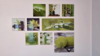 Wandbilder, grüne Pflanzen, 12 Einzelbilder, versch. Größen, Glas Nordrhein-Westfalen - Mülheim (Ruhr) Vorschau