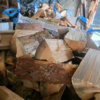 30 cm Kiefer trocken Brennholz Kaminholz Feuerholz Sachsen-Anhalt - Zehrental Vorschau