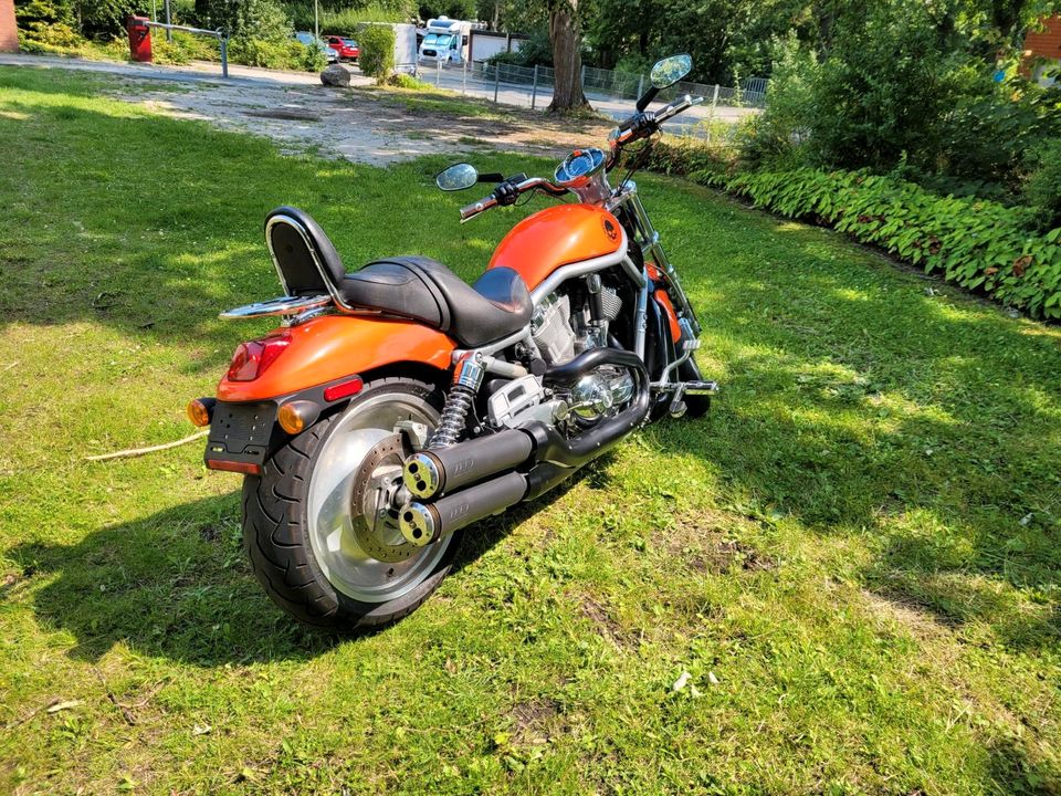 Harley Davidson Vrod - gepflegter Zustand in Schneverdingen