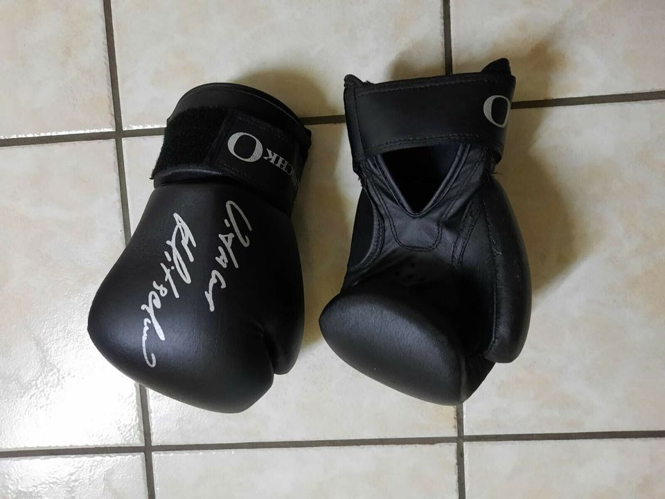 Boxhandschuhe neuwertig Vitali Klitschko in Sonneberg