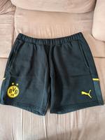 BVB Borussia Dortmund Casual Shorts/ Hose Gr L Puma Top Zustand Hessen - Heuchelheim Vorschau