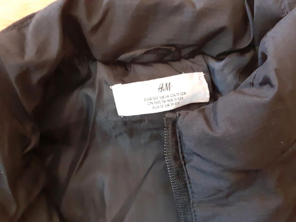 Übergangsjacke Softshelljacke Steppjacke H&M 152+158 in Düsseldorf