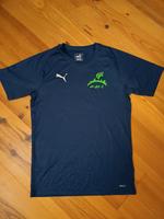 Laufshirt Leipzig Triathlon, Männer Gr 44/46 Sachsen - Markkleeberg Vorschau