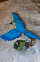Wunderschöner blauer Papagei Ara im Flug Bayern - Pfarrkirchen Vorschau