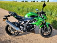 Kawasaki Z125 erste Hand keine R125 Yamaha Honda  CBR 125 Baden-Württemberg - Brackenheim Vorschau