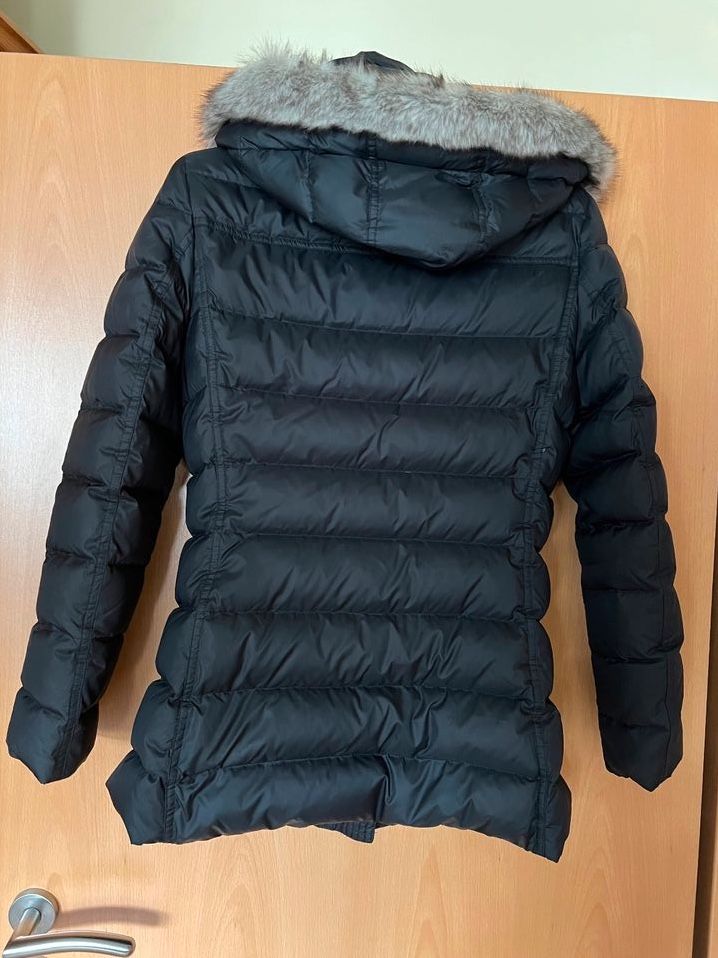 Tommy Hilfiger Daunenjacke in Zeltingen-Rachtig