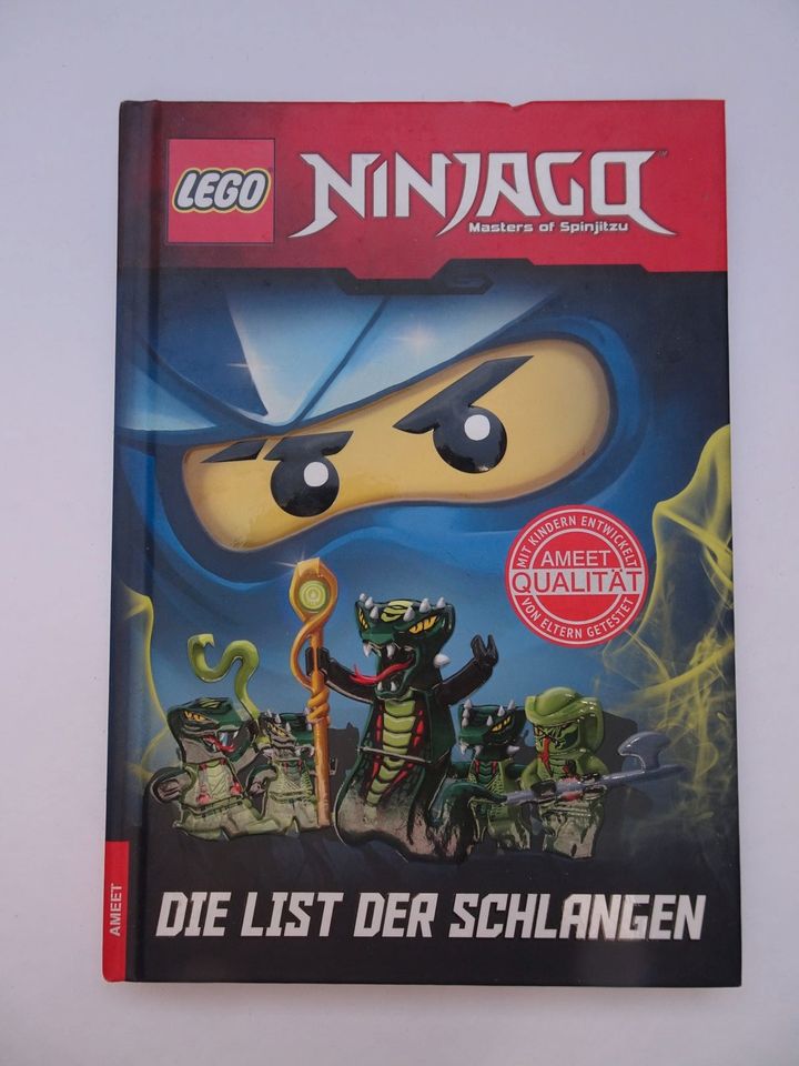 Kinderbuch Lesebuch Ninjago Die List der Schlangen in Bad Friedrichshall