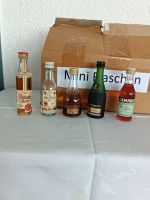 Alkoholische Getränke in Mini Ausführung Hessen - Bebra Vorschau