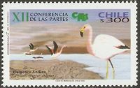 Chile 2083** Fauna Tiere - Bedrohte Tierarten Vögel Andenflamingo Nordrhein-Westfalen - Kamen Vorschau