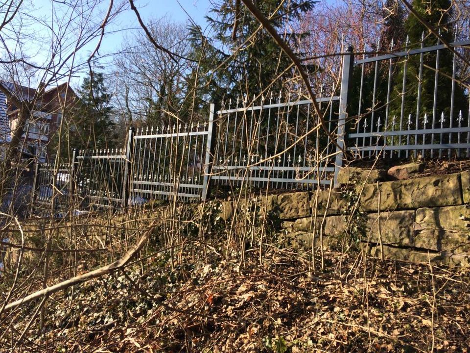 Geschmiedetes Tor. Geschmiedete Zäune, Tore, Zäune aus Polen in Hamburg