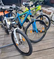 E Bike plus zwei Mountainbike Sachsen - Mittweida Vorschau