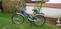 Pegasus Mountainbike 24 Zoll Altstadt-Lehel - München/Lehel Vorschau