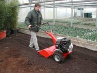 Gartenfräse klein mieten in Hildesheim Niedersachsen - Hildesheim Vorschau