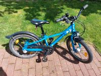 Kinderfahrrad MTB Mountainbike Kettler 18 Zoll blau, 3Gang, Licht Nordrhein-Westfalen - Bottrop Vorschau