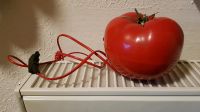 Sammlerstück Telefon- Tomate Kreis Pinneberg - Pinneberg Vorschau