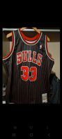 Mitchell Ness NBA Chicago Bulls Pippen Trikot gr XXL Bergedorf - Hamburg Billwerder Vorschau