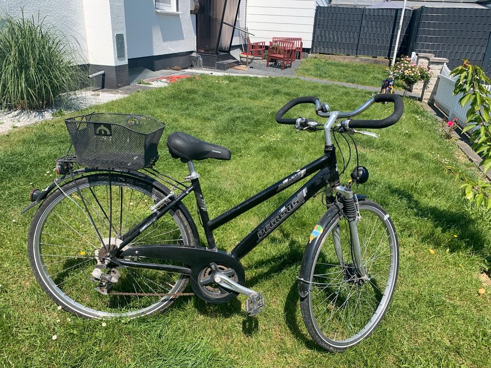 Fahrrad 28 Zoll Pegasus in Geseke