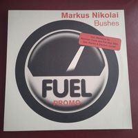2 Vinyl's / Schallplatten  MARKUS NIKOLAI "Bushes" Leipzig - Leipzig, Zentrum-Südost Vorschau
