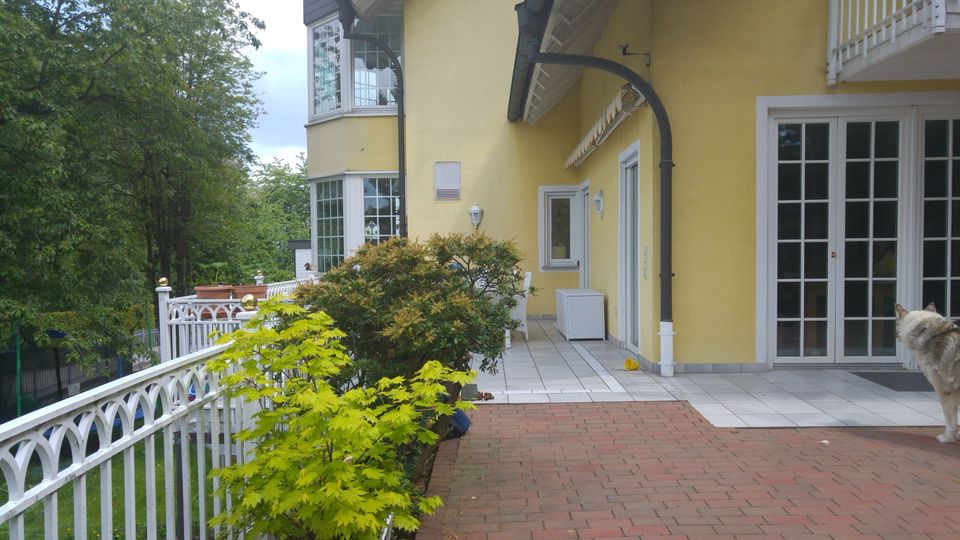 Einzigartiges Anwesen inkl. vermietbaren Bürogebäude in Michelstadt