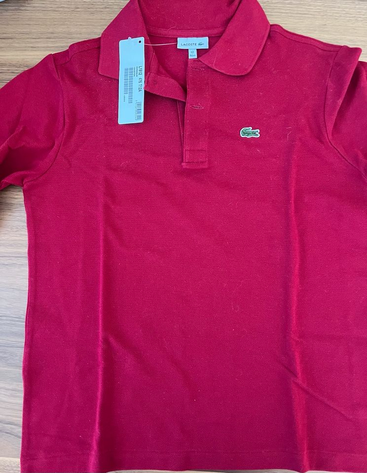 Lacoste Polohemd langärmlig Junge 152 bordeaux neu mit Etikett in München