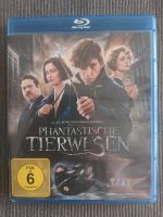 Phantastische Tierwesen  und wo sie zu finden sind   Bluray Nordrhein-Westfalen - Hagen Vorschau