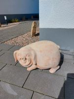 Terrakotta Schwein Nordrhein-Westfalen - Salzkotten Vorschau