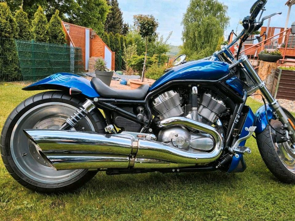 Harley Davidson in Bad Emstal