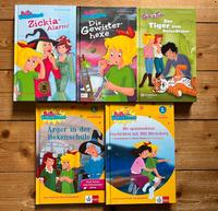 5x Kinderbuch Bibi Blocksberg / Bibi&Tina Dresden - Leuben Vorschau