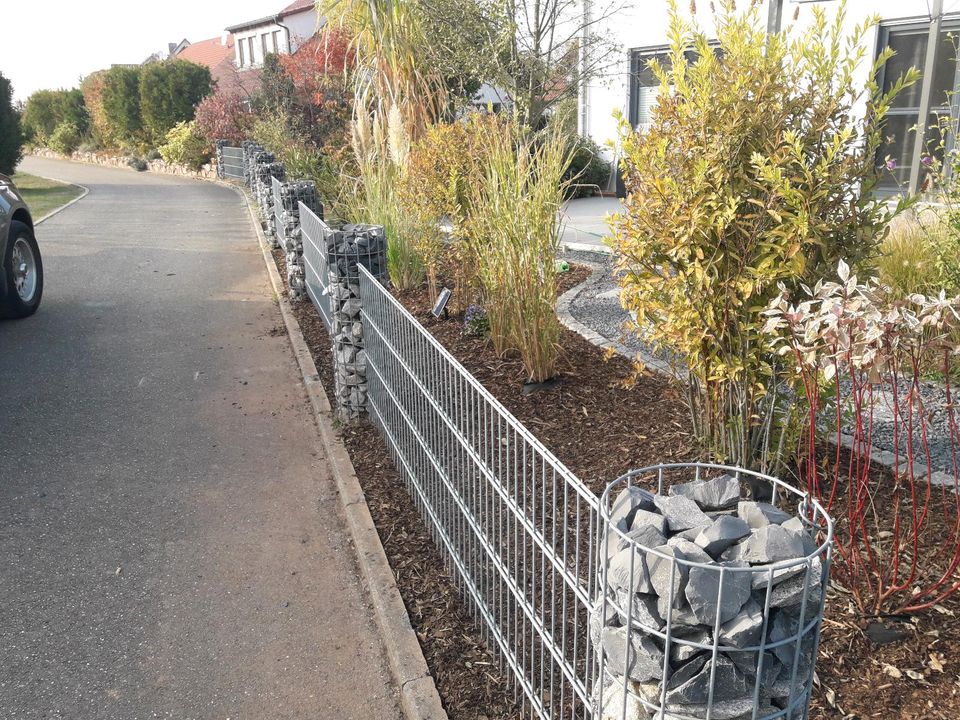 Gartenbau Gartengestaltung Dienstleistungen Haus Hof Garten in Renningen