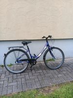 Fahrrad 26 Zoll 3 Gang  Lila Nordrhein-Westfalen - Recklinghausen Vorschau