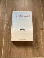 Buch Zwischenlandung von Tobias Elsäßer Mecklenburg-Vorpommern - Greifswald Vorschau