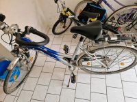 28 Zoll Damenfahrrad Nordrhein-Westfalen - Bad Wünnenberg Vorschau