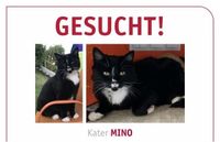 Gesucht Kater Mino Bayern - Rentweinsdorf Vorschau