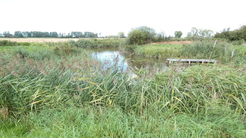 Wohnen wo andere Urlaub machen nahe Greetsiel in Grimersum