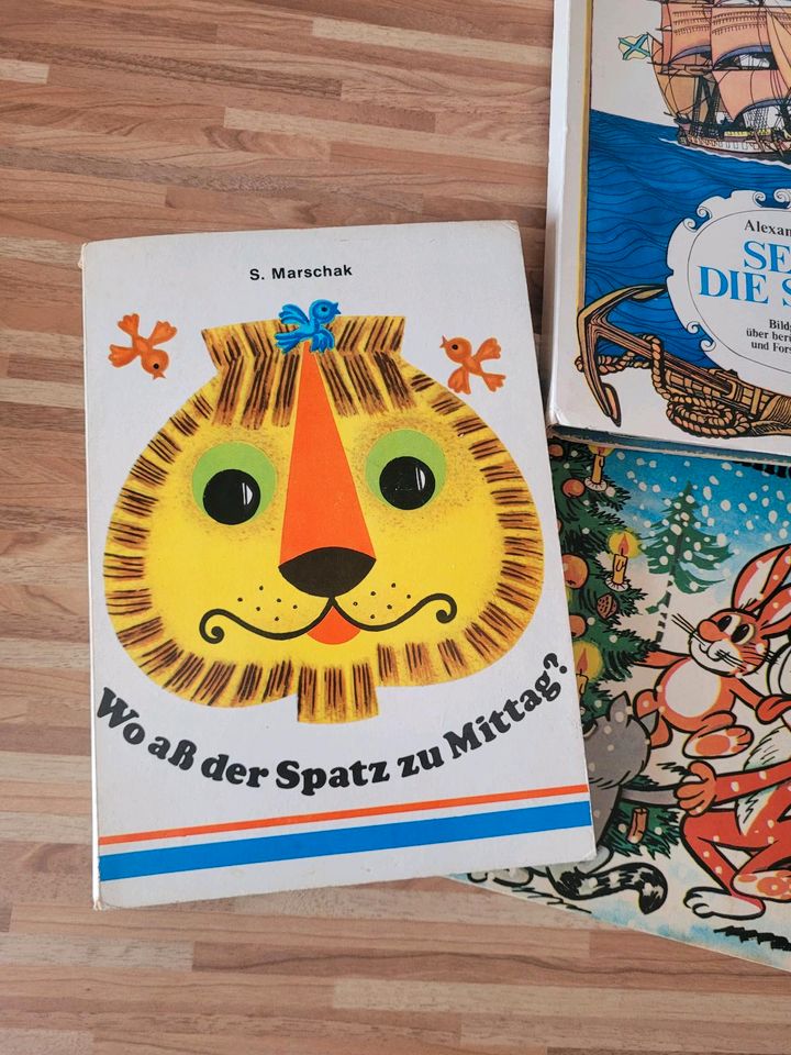 DDR Kinderbuch Konvolut Pop-up-Buch 6 Stück in Wismar