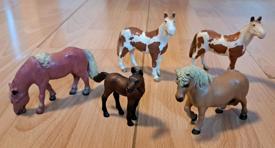 Schleich Tiere/ Schleich Pferde Sammlung in Düsseldorf