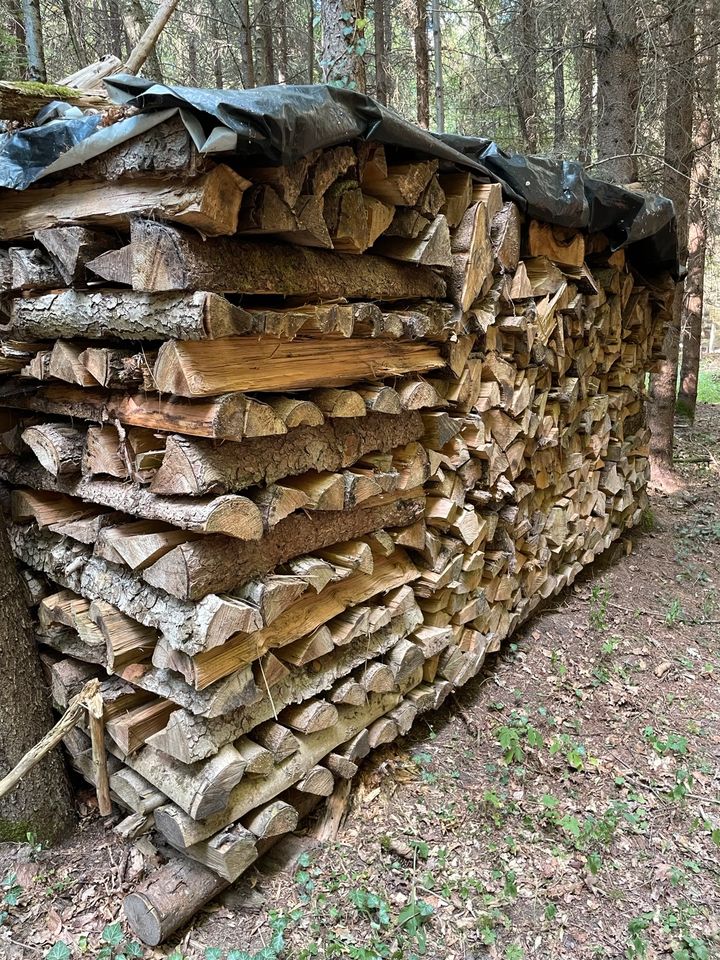 Brennholz zu verkaufen in Bühlertann