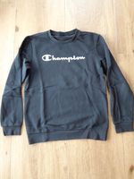 Champion Pulli Gr 164 Hessen - Dillenburg Vorschau